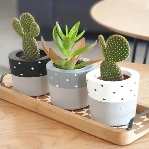 Heaven's Garden Hediyelik Beton Saksı Seti – Sukulent– Kaktüs– Dekoratif Eşya- Ev Dekerasyon - Saksı Seti