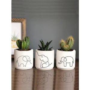 Dekozayn Home Fil Desenli Beton Saksı Üçlü Set- Küçük Boy Sukulent Saksısı Çizim Bereket Hediyelik