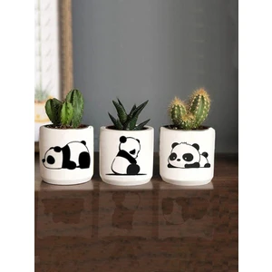 Dekozayn Home Yorgun Panda Desenli Beton Saksı Üçlü Set- Küçük Boy Sukulent Saksısı Çizim Panda Hediyelik