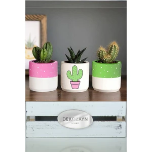 Dekozayn Home Pembeli Kaktüs Desenli Beton Saksı Üçlü Set- Küçük Boy Sukulent Saksısı Çizim Kaktüs