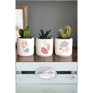 Dekozayn Home Pastel Kedi Kedi Desenli Beton Saksı Üçlü Set- Küçük Boy Sukulent Saksısı Çizim Hediyelik Kalemlik