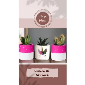 Dekozayn Home Unicorn Desenli Beton Saksı Üçlü Set- Küçük Boy Sukulent Saksısı Çizim Unicorn Kalemlik