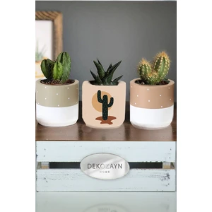 Dekozayn Home Modern Kaktüs Pastel Renkli Sukulent ve Kaktüs Saksısı