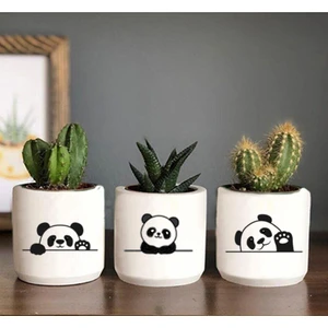 Dekozayn Home Panda Desenli Saksı Sukulent ve Kaktüs Saksısı Pandacık
