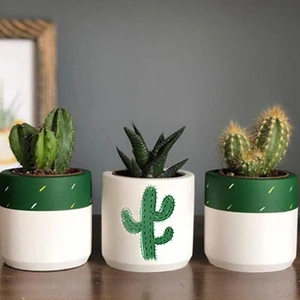 Dekozayn Home Kaktüs Hediyeli Desenli Beton Saksı Üçlü Set- Küçük Boy Sukulent Saksısı Çizim Kaktüs