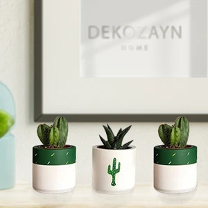 Bitki Dahil Kaktüs Desenli Beton Saksı 3'lü Set- Küçük Boy Sukulent