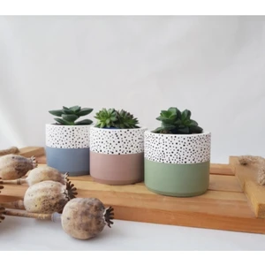 Heaven's Garden Hediyelik Beton Saksı Seti – Sukulent– Kaktüs– Dekoratif Eşya- Ev Dekerasyon - Saksı Seti