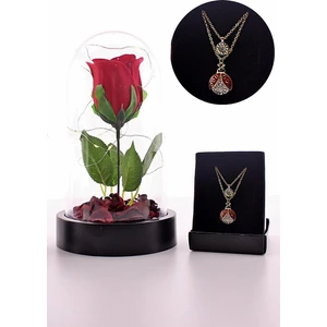 Hediye Filesi Anneler Gününe Özel Fanusta LED Işıklı Kırmızı Gül ve Uğur Böceği Kolye Seti