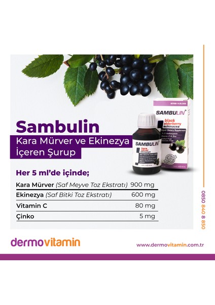 Sambulin Kara Mürver ve Ekinezya Içeren Şurup 100 ml indirimleri