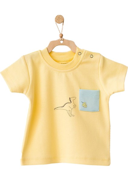 Erkek Bebek Dinazor Desenli 2li Tişört Takımı AC21507R modelleri