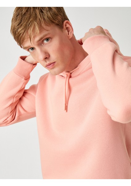Basic Kapşonlu Sweatshirt fiyatları