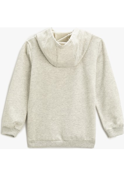 Baskılı Kapüşonlu Sweatshirt fiyatları