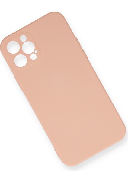 iPhone 12 Pro Max Kılıf Lansman Içi Kadife Lüx Tasarım Silikon Kapak - Pudra