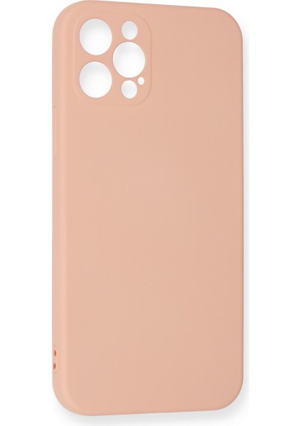 iPhone 12 Pro Max Kılıf Lansman Içi Kadife Lüx Tasarım Silikon Kapak - Pudra