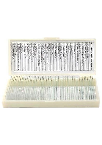 50 Adet Takım Biyolojik Cam Örnek Hazırlanan Temel Hayvan Bitkileri Böcekler Dokular Bilim Örneği Kapak Fişler Taşınabilir Eğitim Mikroskop Slaytlar (Yurt Dışından)