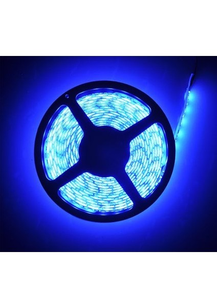 12V 3 Çipli Dış Mekan Ip 65 Mavi Şerit LED