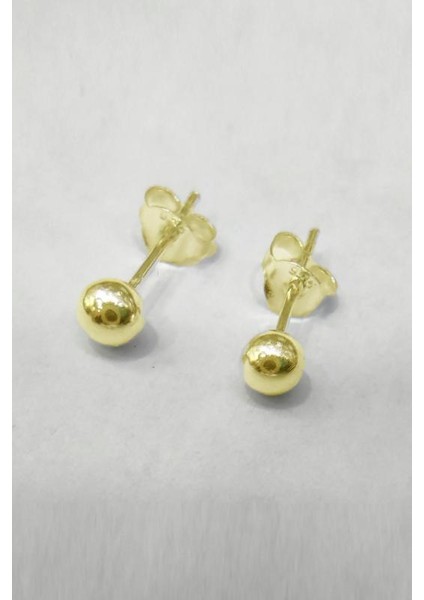 4 mm Gümüş Top Küpe fiyatları