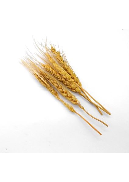 Kurutulmuş Çiçek Kuru Başak Otu fiyatları