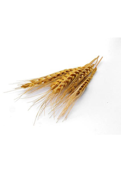 Kurutulmuş Çiçek Kuru Başak Otu fırsatları