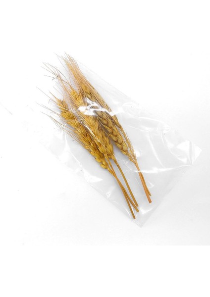 Kurutulmuş Çiçek Kuru Başak Otu indirimleri