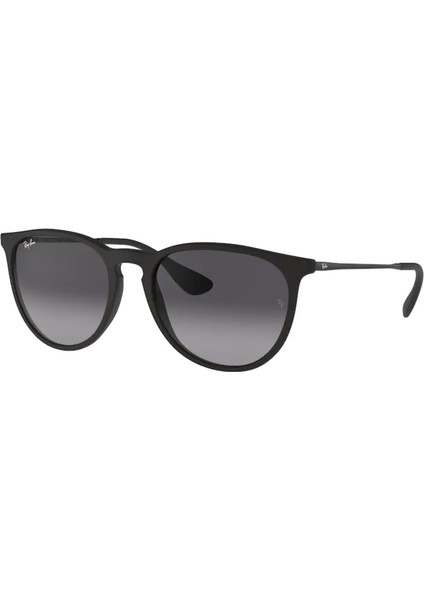 Rayban RB4171 622/8G 54 Unisex Güneş Gözlüğü