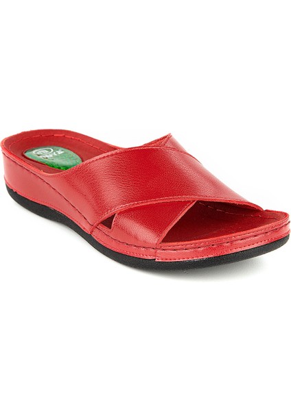 Orthopedix Raena Anatomik Topuk Dikeni Jel Destekli Kadın Terlik 32217