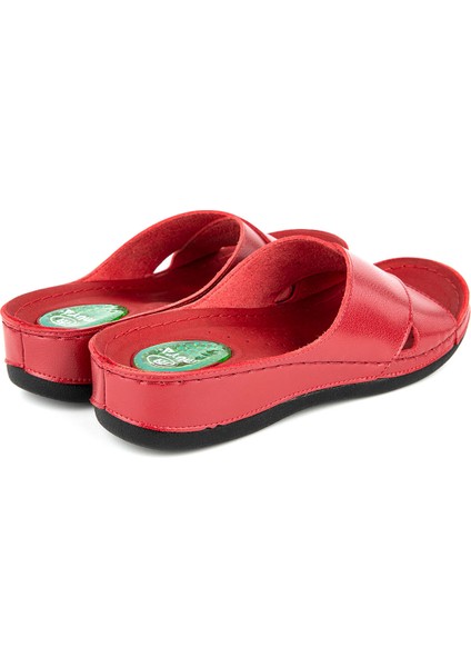 Orthopedix Raena Anatomik Topuk Dikeni Jel Destekli Kadın Terlik 32217 indirimleri