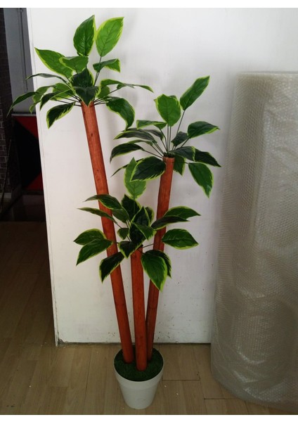 Yapay Yuka Ağacı Geniş Tombul Yapraklı 3 Gövdeli 1.75 mt Boy Yucca Ağaç Çiçek