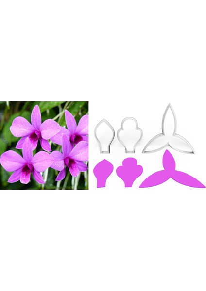 Dendrobıum Orkide Yapım Kesici Set 3 Parça