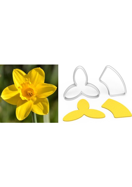 Nergis Çiçek Yapım Kesici Set 2 Parça 6 cm