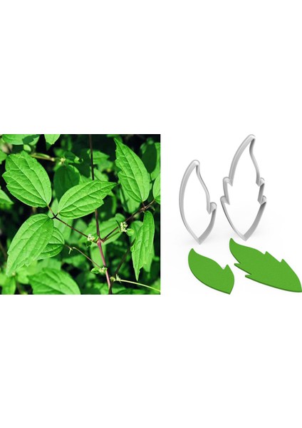 Yabanasması Yapraklar Kesici Set 2 Parça