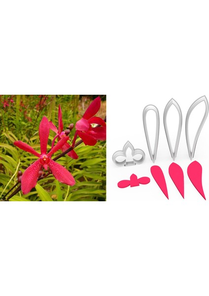 Aranthera Orkide Yapım Kesici Set 4 Parça