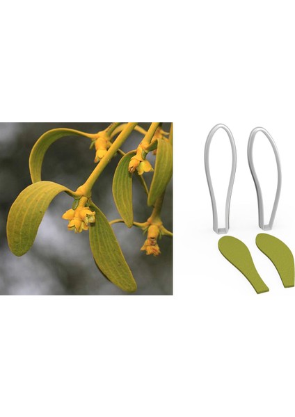 Ökseotu Çiçek Yapım Kesici Set 2 Parça