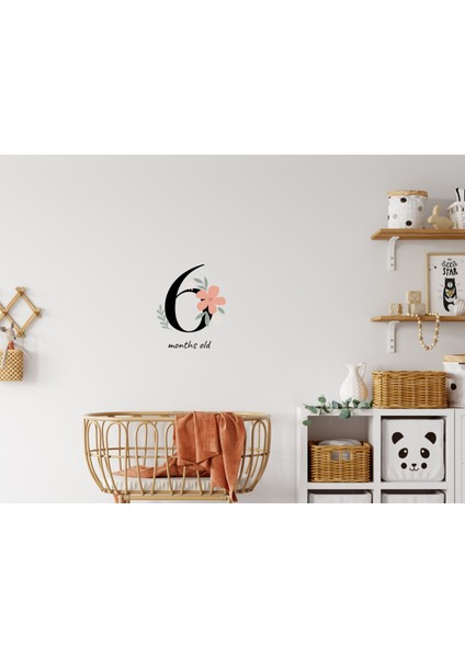 12 Parça Bebek Aylık Bilgisi Her Ay Için Sticker, Erkek/kız Bebek Çıkartması, Bebek Odası Sticker indirimleri