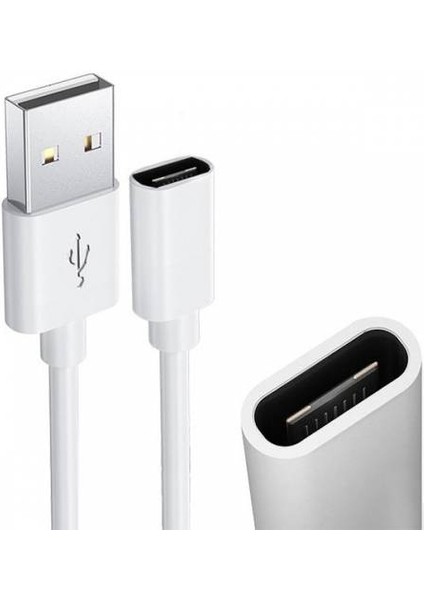 Typc-E To USB Dönüştürücü USB Dönüştürücü Kablo Typce USB Dönüştürücü Veri Aktarım Kablosu