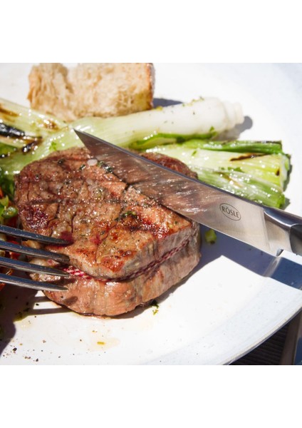 Steak Çkb Seti 25146