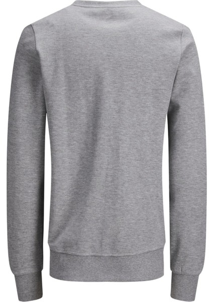 Bisiklet Yaka Baskılı Sweatshirt- Basic fiyatları