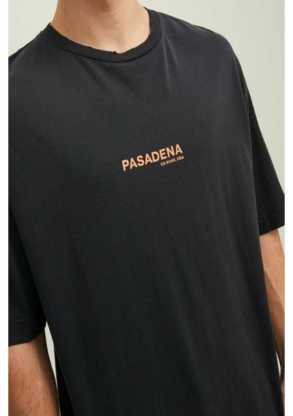 Hollywood Sunfade Erkek Tişört 12210401