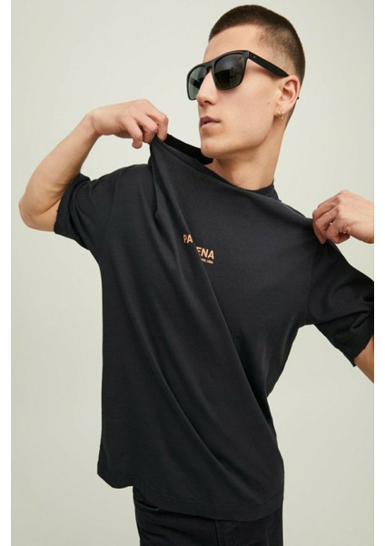 Hollywood Sunfade Erkek Tişört 12210401