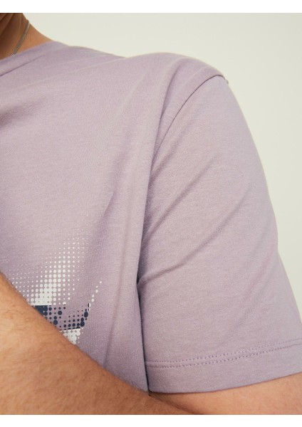 Erkek T-Shirt 12209209 indirimleri