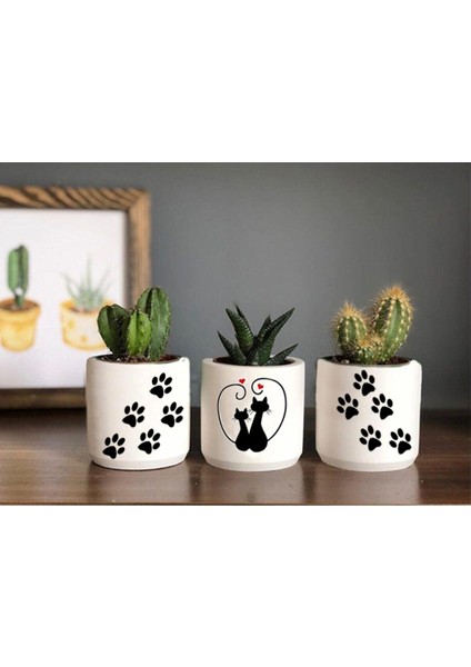 Kedi ve Pati Desenli Beton Saksı Üçlü Set- Küçük Boy Sukulent Saksısı Çizim Kedicik Pati