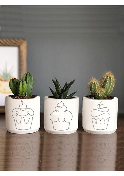 Kek Capcake Desenli Beton Saksı Üçlü Set- Küçük Boy Sukulent Saksısı Çizim Hediyelik