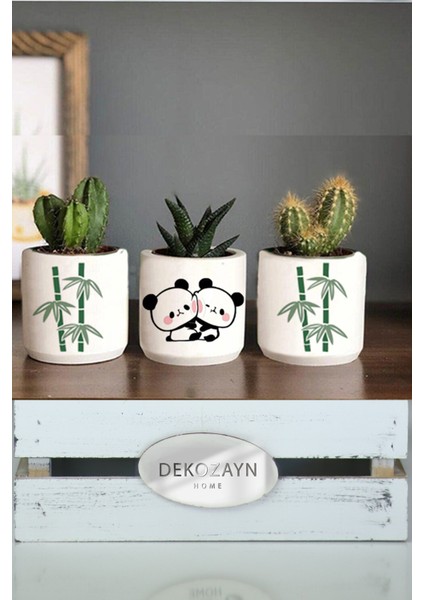 Bambu Panda Desenli Beton Saksı Üçlü Set- Küçük Boy Sukulent Saksısı Çizim Hediyelik