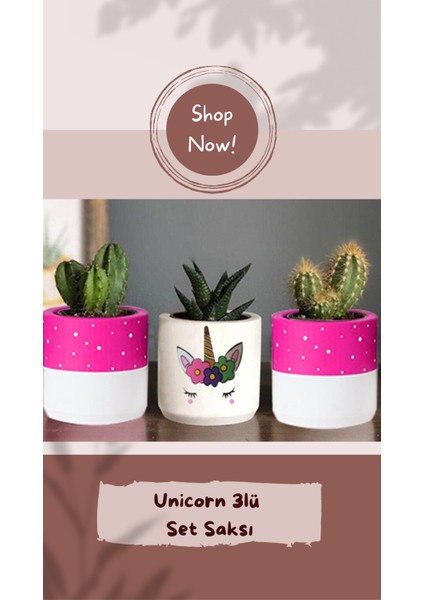 Unicorn Desenli Beton Saksı Üçlü Set- Küçük Boy Sukulent Saksısı Çizim Unicorn Kalemlik