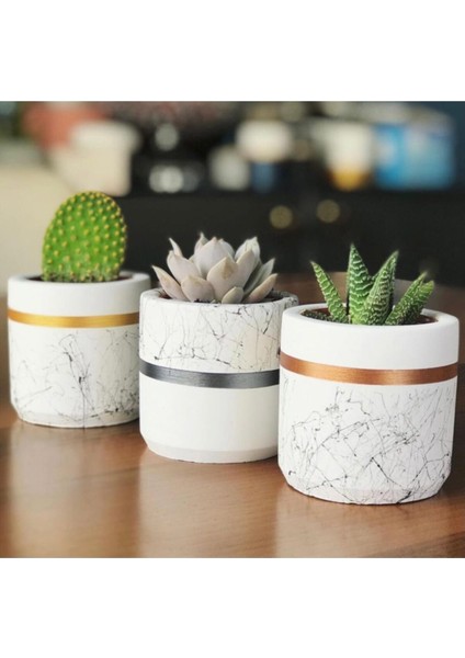 Mermer Desen Silindir,geometrik Beton Saksılık Kaktüs ve Sukulentlik 3'lü Set