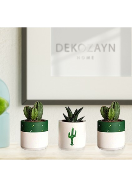 Bitki Dahil Kaktüs Desenli Beton Saksı 3'lü Set- Küçük Boy Sukulent