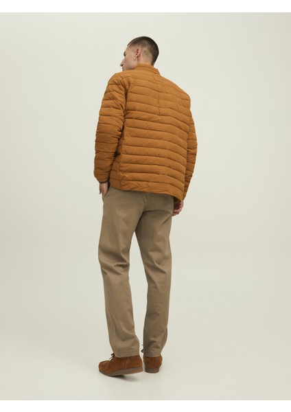 Düz Renk Mevsimlik Ceket-12211129 modelleri