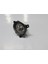 Bmw 1 Serı- F20- 12/15; Sis Lambası Sol H8 (Tw) 63177248911 2