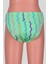 Ayl Erkek Çocuk Desenli Slip Mayo 103-D-3 2