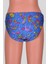 Ayl Erkek Çocuk Desenli Slip Mayo 103-D-27 2